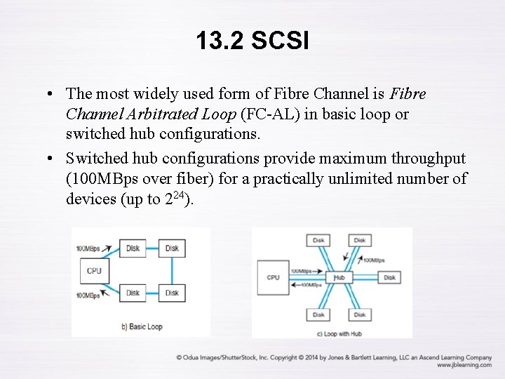 13. 2 SCSI • The most widely used form of Fibre Channel is Fibre