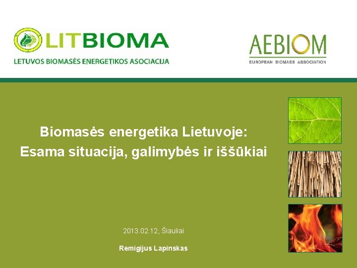 Biomasės energetika Lietuvoje: Еsama situacija, galimybės ir iššūkiai 2013. 02. 12, Šiauliai Remigijus Lapinskas