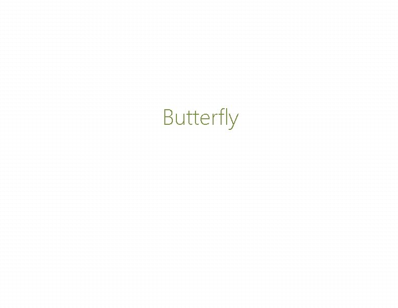 Butterfly Butterfly