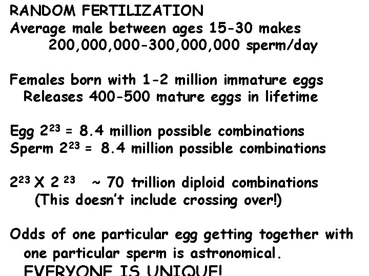 RANDOM FERTILIZATION Average male between ages 15 -30 makes 200, 000 -300, 000 sperm/day
