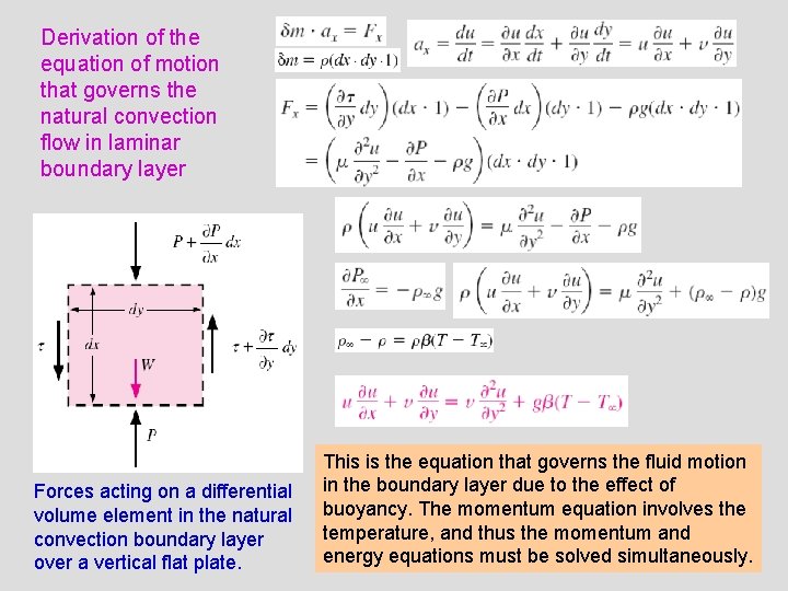 Derivation of the equation of motion that governs the natural convection flow in laminar