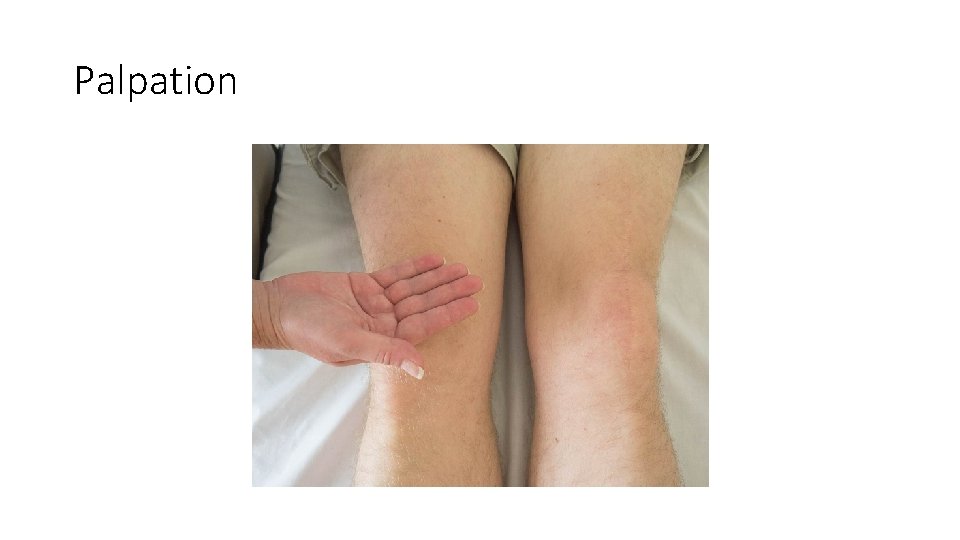 Palpation Palpation