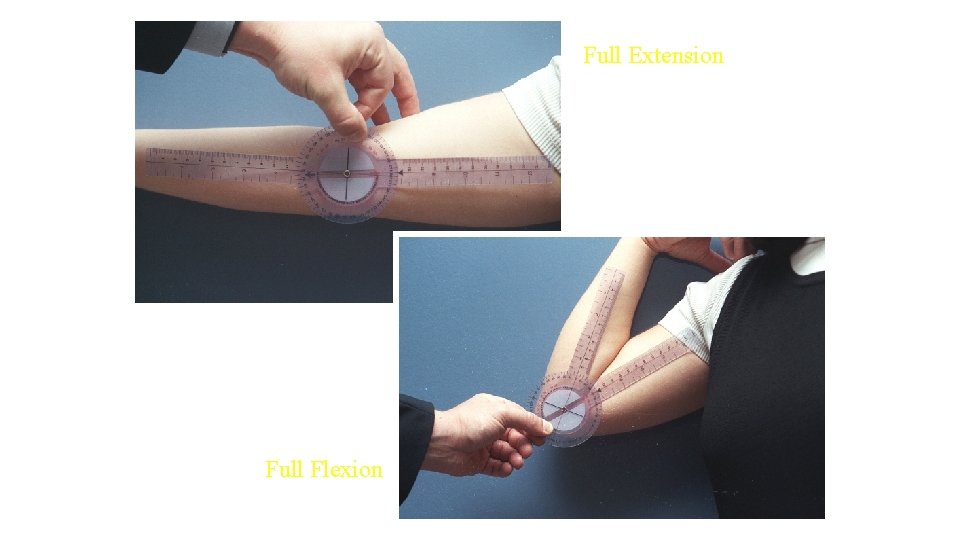 Full Extension Full Flexion Full Extension Full Flexion