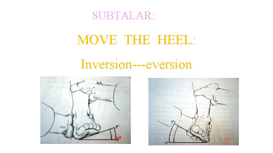 MOVEMENT: SUBTALAR: MOVE THE HEEL: Inversion---eversion MOVEMENT: SUBTALAR: MOVE THE HEEL: Inversion---eversion