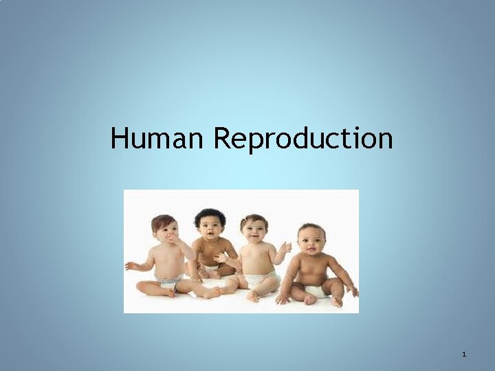 Human Reproduction 1 