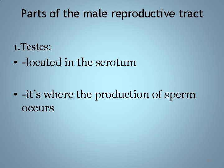 Parts of the male reproductive tract 1. Testes: • -located in the scrotum •