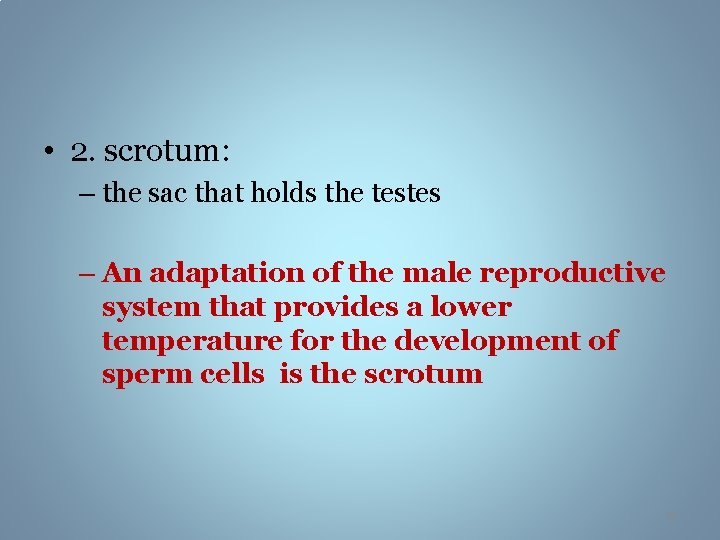  • 2. scrotum: – the sac that holds the testes – An adaptation
