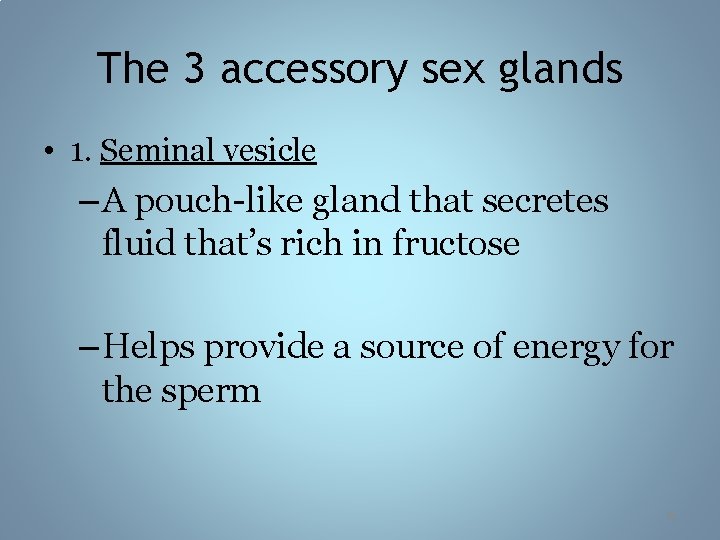 The 3 accessory sex glands • 1. Seminal vesicle – A pouch-like gland that