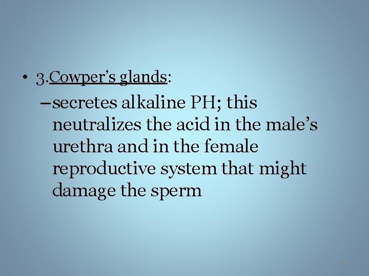  • 3. Cowper’s glands: – secretes alkaline PH; this neutralizes the acid in