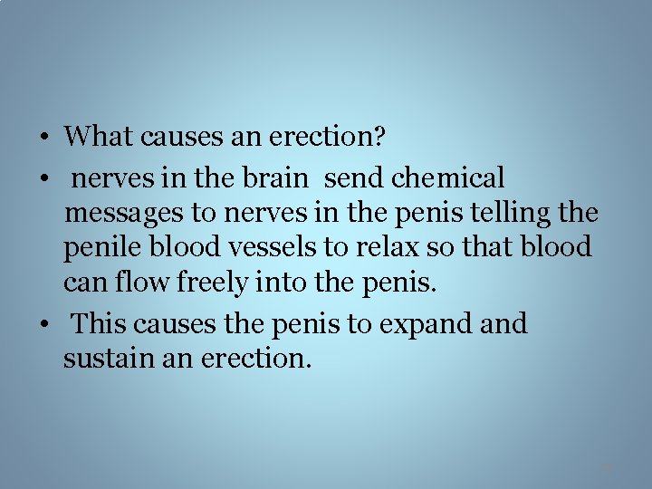  • What causes an erection? • nerves in the brain send chemical messages