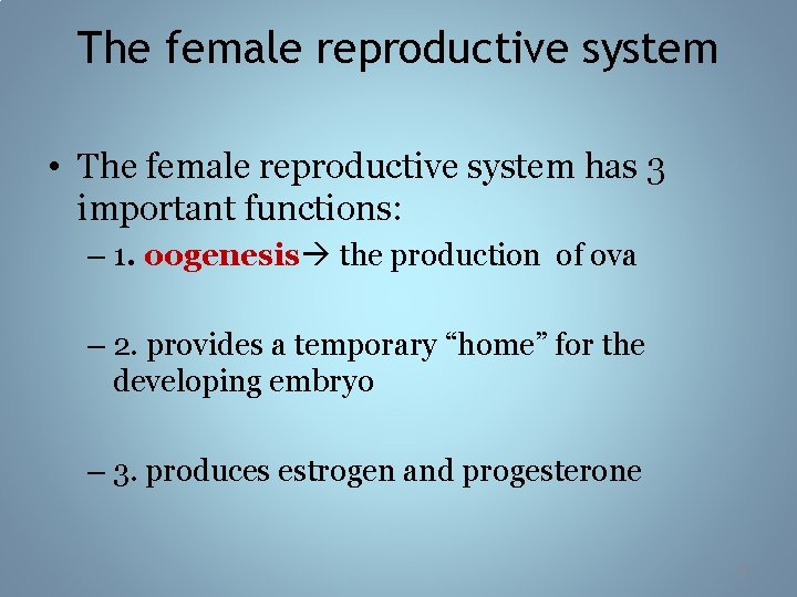 The female reproductive system • The female reproductive system has 3 important functions: –