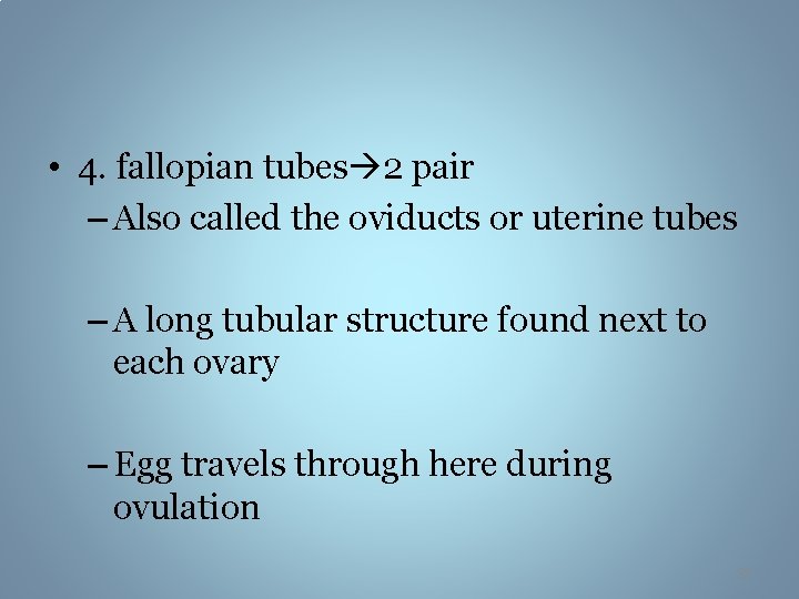  • 4. fallopian tubes 2 pair – Also called the oviducts or uterine