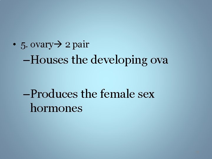  • 5. ovary 2 pair –Houses the developing ova –Produces the female sex