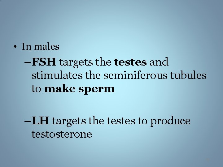  • In males – FSH targets the testes and stimulates the seminiferous tubules