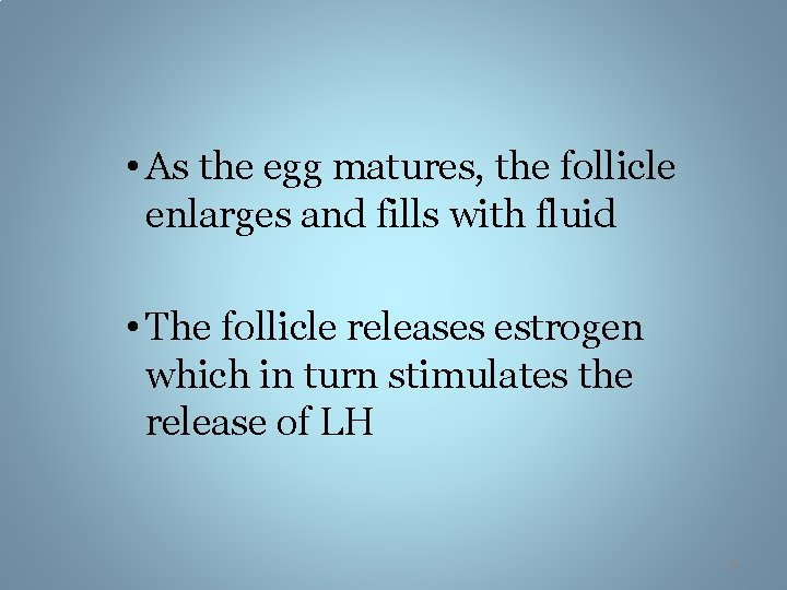 • As the egg matures, the follicle enlarges and fills with fluid •