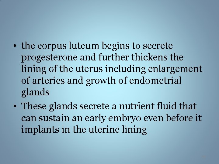  • the corpus luteum begins to secrete progesterone and further thickens the lining