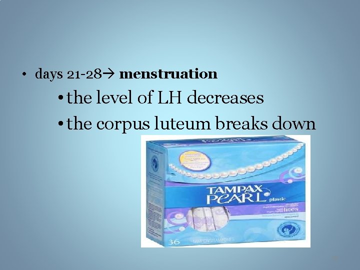  • days 21 -28 menstruation • the level of LH decreases • the