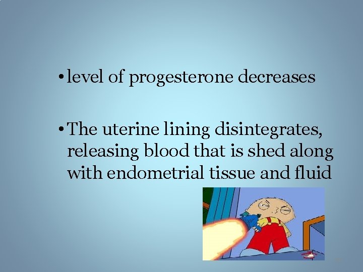  • level of progesterone decreases • The uterine lining disintegrates, releasing blood that