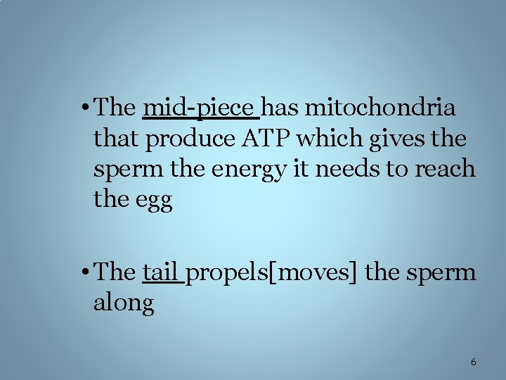  • The mid-piece has mitochondria that produce ATP which gives the sperm the