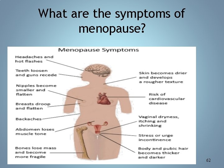 What are the symptoms of menopause? 62 