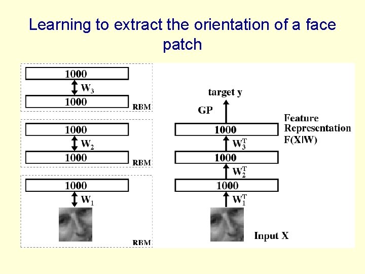 Learning to extract the orientation of a face patch 