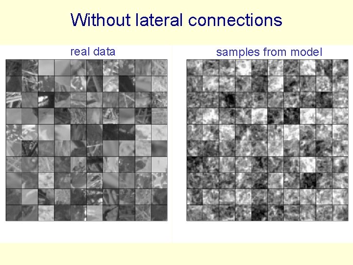 Without lateral connections real data samples from model 