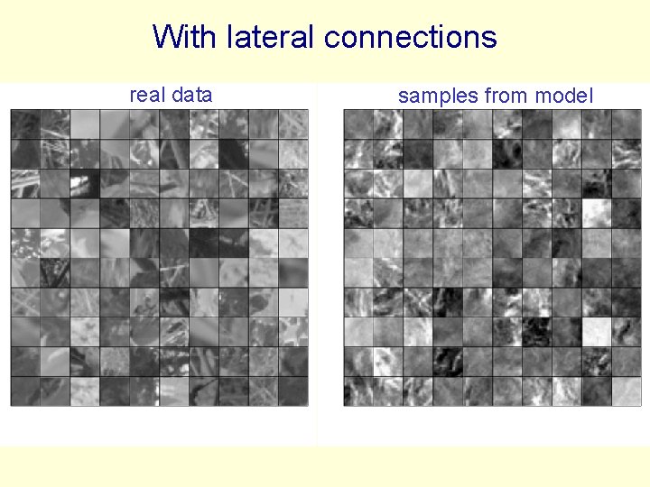 With lateral connections real data samples from model 