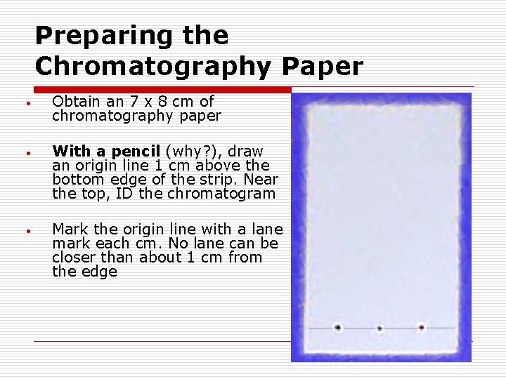 Preparing the Chromatography Paper • Obtain an 7 x 8 cm of chromatography paper