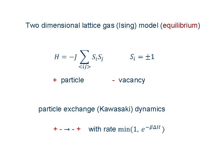 Two dimensional lattice gas (Ising) model (equilibrium) + particle - vacancy particle exchange (Kawasaki)