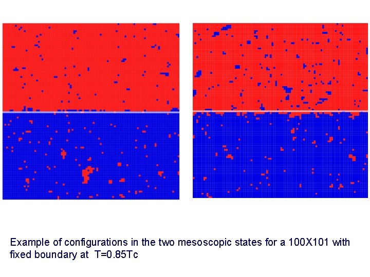 Example of configurations in the two mesoscopic states for a 100 X 101 with