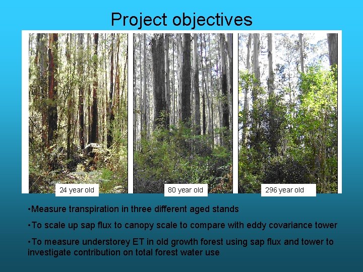 Project objectives 24 year old 80 year old 296 year old • Measure transpiration