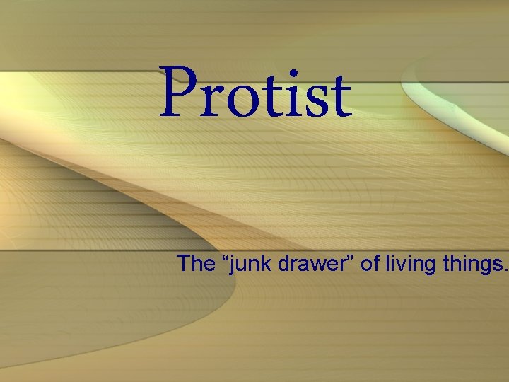 Protist The “junk drawer” of living things. 