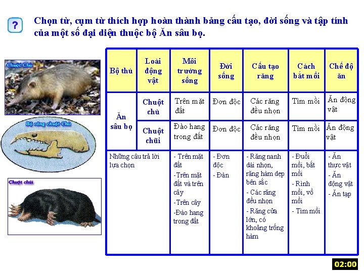 Chọn từ, cụm từ thích hợp hoàn thành bảng cấu tạo, đời sống và
