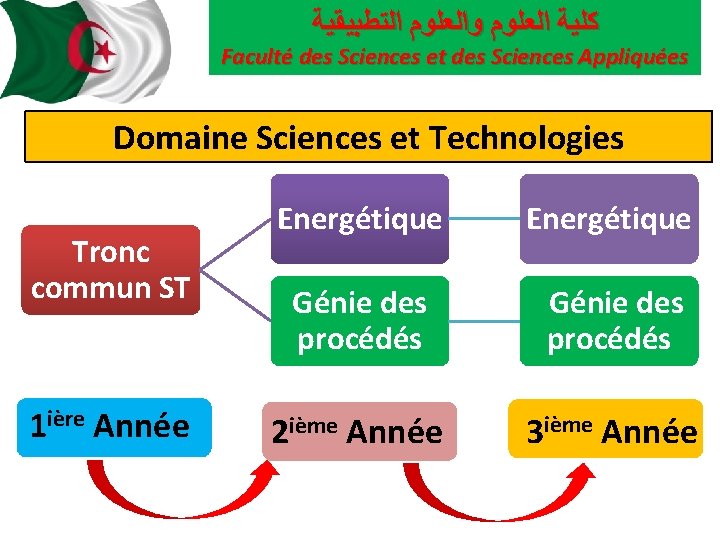  ﻛﻠﻴﺔ ﺍﻟﻌﻠﻮﻡ ﻭﺍﻟﻌﻠﻮﻡ ﺍﻟﺘﻄﺒﻴﻘﻴﺔ Faculté des Sciences et des Sciences Appliquées Domaine Sciences