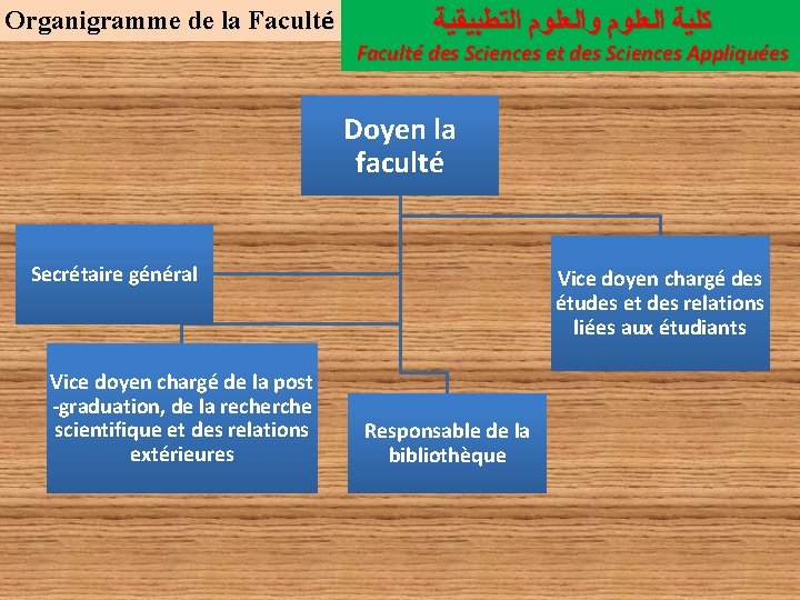 Organigramme de la Faculté ﻛﻠﻴﺔ ﺍﻟﻌﻠﻮﻡ ﻭﺍﻟﻌﻠﻮﻡ ﺍﻟﺘﻄﺒﻴﻘﻴﺔ Faculté des Sciences et des Sciences