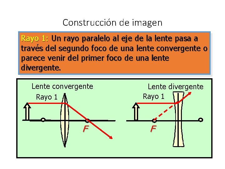 Construcción de imagen Rayo 1: Un rayo paralelo al eje de la lente pasa