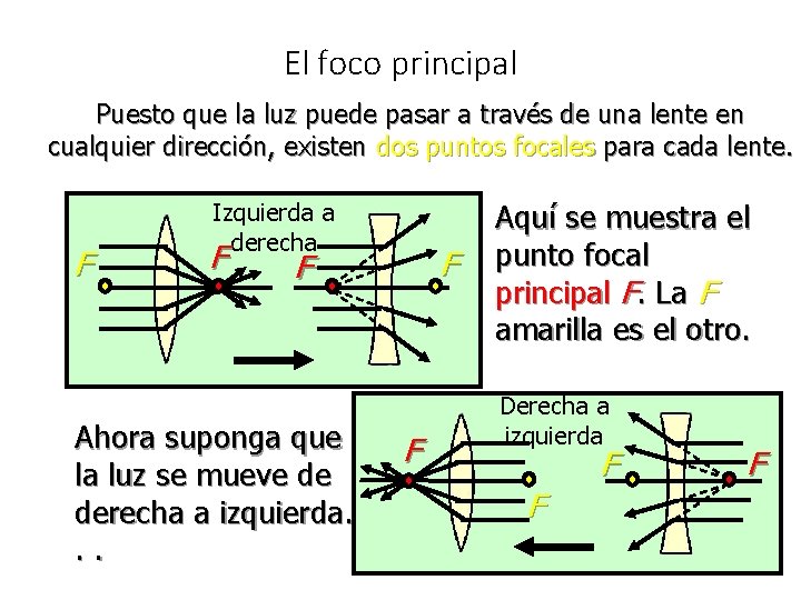 El foco principal Puesto que la luz puede pasar a través de una lente El foco principal Puesto que la luz puede pasar a través de una lente