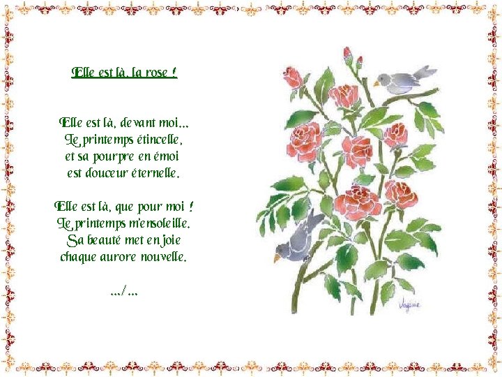 Elle est là, la rose ! Elle est là, devant moi… Le printemps étincelle,