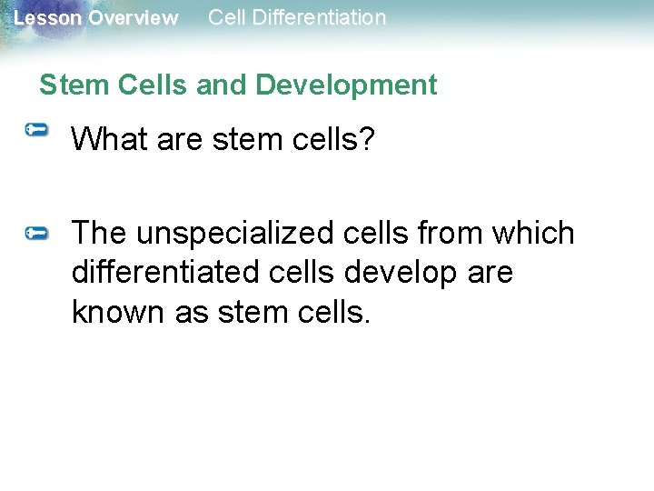 Lesson Overview Cell Differentiation Stem Cells and Development What are stem cells? The unspecialized Lesson Overview Cell Differentiation Stem Cells and Development What are stem cells? The unspecialized