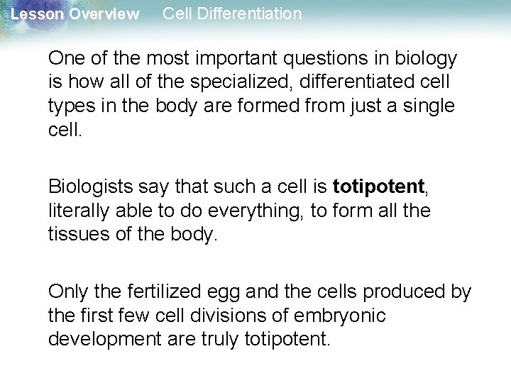 Lesson Overview Cell Differentiation One of the most important questions in biology is how Lesson Overview Cell Differentiation One of the most important questions in biology is how