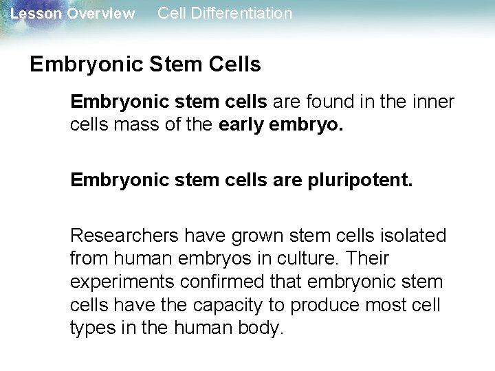 Lesson Overview Cell Differentiation Embryonic Stem Cells Embryonic stem cells are found in the Lesson Overview Cell Differentiation Embryonic Stem Cells Embryonic stem cells are found in the