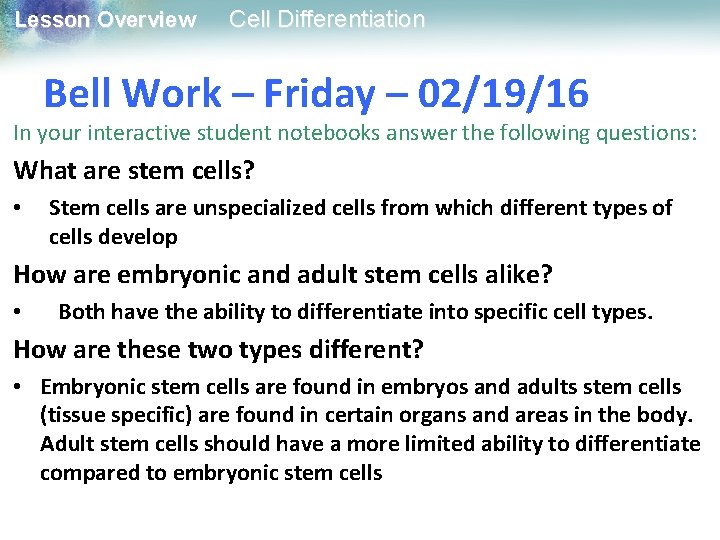 Lesson Overview Cell Differentiation Bell Work – Friday – 02/19/16 In your interactive student Lesson Overview Cell Differentiation Bell Work – Friday – 02/19/16 In your interactive student
