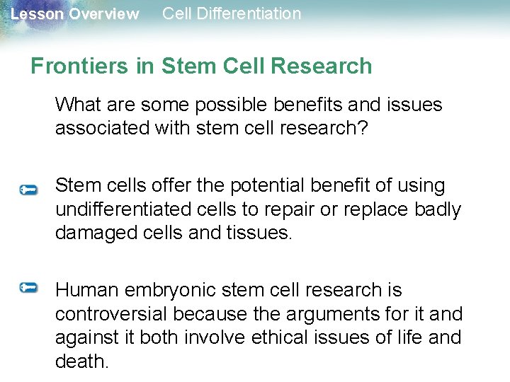 Lesson Overview Cell Differentiation Frontiers in Stem Cell Research What are some possible benefits Lesson Overview Cell Differentiation Frontiers in Stem Cell Research What are some possible benefits