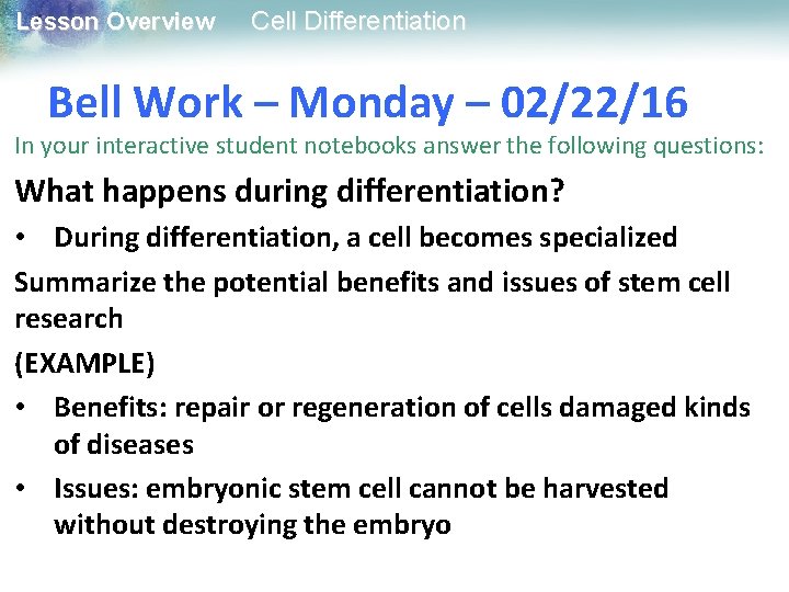 Lesson Overview Cell Differentiation Bell Work – Monday – 02/22/16 In your interactive student Lesson Overview Cell Differentiation Bell Work – Monday – 02/22/16 In your interactive student