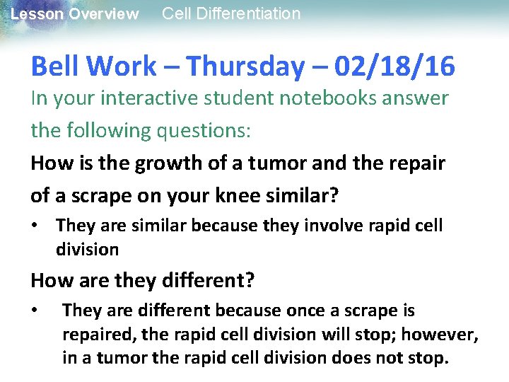 Lesson Overview Cell Differentiation Bell Work – Thursday – 02/18/16 In your interactive student Lesson Overview Cell Differentiation Bell Work – Thursday – 02/18/16 In your interactive student