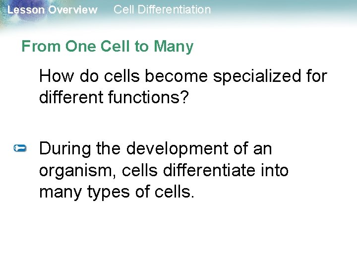 Lesson Overview Cell Differentiation From One Cell to Many How do cells become specialized Lesson Overview Cell Differentiation From One Cell to Many How do cells become specialized