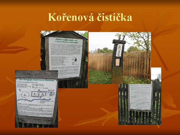 Kořenová čistička 