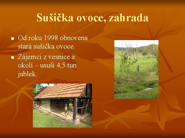 Sušička ovoce, zahrada n n Od roku 1998 obnovena stará sušička ovoce. Zájemci z