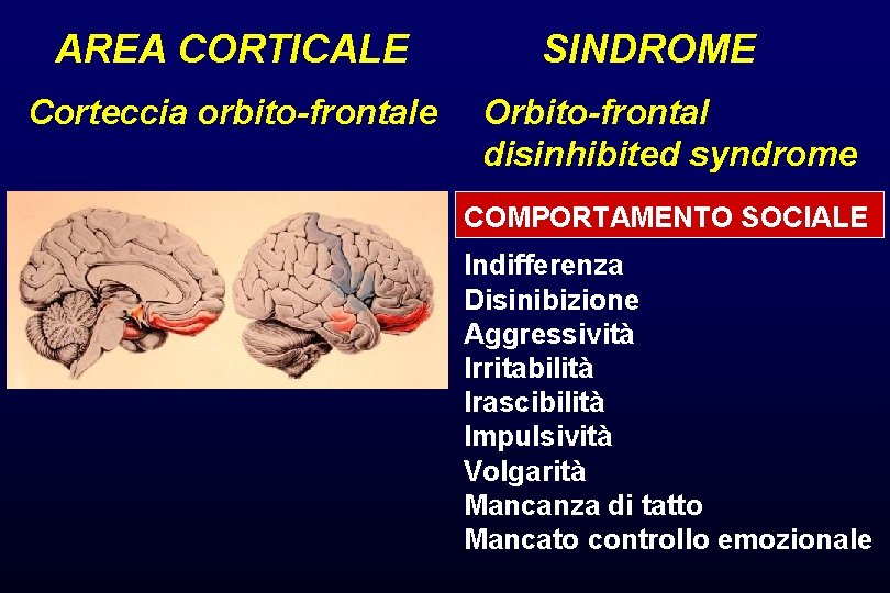 AREA CORTICALE Corteccia orbito-frontale SINDROME Orbito-frontal disinhibited syndrome COMPORTAMENTO SOCIALE Indifferenza Disinibizione Aggressività Irritabilità