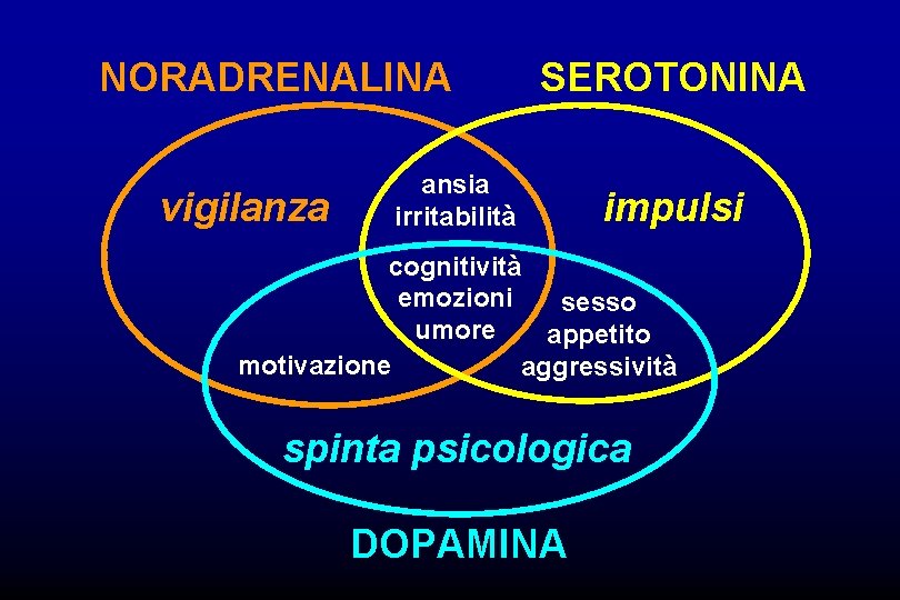 NORADRENALINA vigilanza SEROTONINA ansia irritabilità impulsi cognitività emozioni sesso umore appetito motivazione aggressività spinta